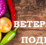 О проведении районного конкурса "Ветеранское подворье" - Управление соцзащиты населения