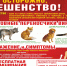 Эффективный метод снижения численности безнадзорных животных - Красногвардейский район