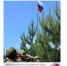 Областные военно-исторические сборы «Армата» стартуют 24 июля - Красногвардейский район