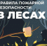 Противопожарный режим в регионе продлён до 23 августа 2023 года - Красногвардейский район