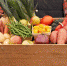 Стартовал конкурс грантов для производителей сельскохозяйственной продукции - Красногвардейский район