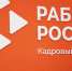 Обновлённый кадровый центр «Работа России» открылся в городе Бирюч - Сетевое издание Знамя труда-31