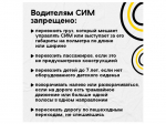 Средства индивидуальной мобильности стали удобным и популярным видом транспорта.