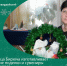 Текстиль, картон, мишура и хорошее настроение: жительница Бирюча изготавливает новогодние поделки и сувениры своими руками. - Красногвардейский район
