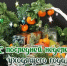 Врываемся в последнюю рабочую неделю уходящего года и вспоминаем события прошедшей в #новостиоднойстрокой. - Красногвардейский район