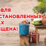 О недопущении торговли в неустановленных местах на территории Красногвардейского района. - Красногвардейский район