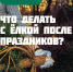 Праздники закончены, салаты съедены, новогодние фильмы просмотрены — осталась только она... уже увядающая зелёная красавица. - Красногвардейский район