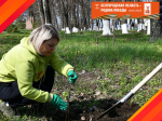 В Красногвардейском районе продолжается акция «Сад памяти».