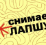 Проект «Лапша медиа» продолжает рассказывать жителям Белгородской области о фейках - Сетевое издание Знамя труда-31