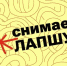 «Лапша Медиа» продолжает информировать жителей Белгородской области о фейках - Сетевое издание Знамя труда-31