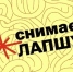 Проект Лапша медиа завершает информирование белгородцев по вопросам безопасности в сети Интернет - Сетевое издание Знамя труда-31