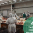 #аВыЗнали, что сельскохозяйственными организациями района за первое полугодие 2025 года реализовано на убой скота и птицы (в живом весе) 50 тыс. тонн, к аналогичному периоду прошлого года составляет 100%. - Красногвардейский район