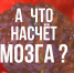 Насколько грамотно мы подходим к информации, которую читаем?. - Красногвардейский район
