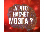 Насколько грамотно мы подходим к информации, которую читаем?.