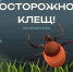Осторожно: клещи❗️. - Красногвардейский район