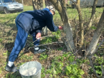 В Красногвардейском округе продолжаются масштабные работы по благоустройству территории.