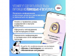 Питомцы так похожи на своих владельцев — им тоже нужны документы!.
