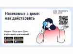Борьба с насекомыми в многоквартирном доме.